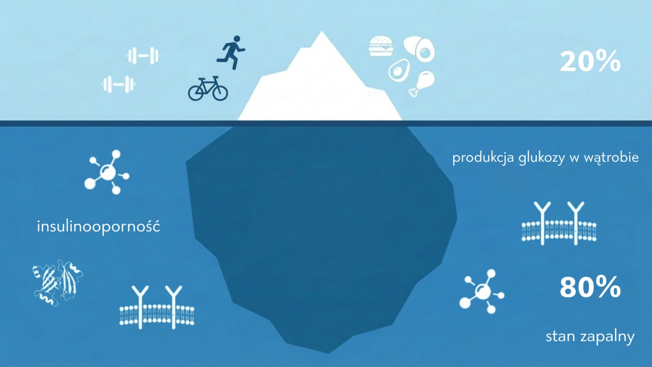 Diagram: dieta vs naprawa metaboliczna
