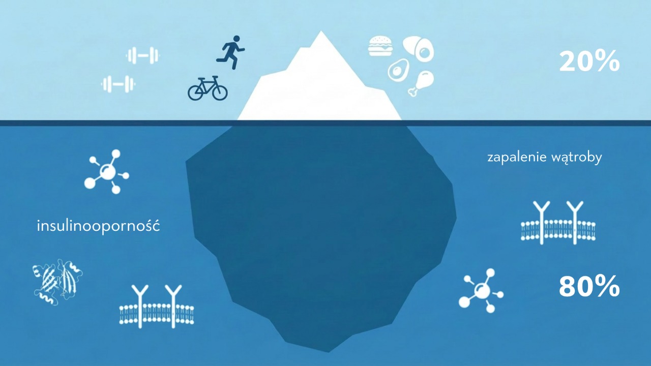 Diagram: dieta vs naprawa metaboliczna w stanie przedcukrzycowym