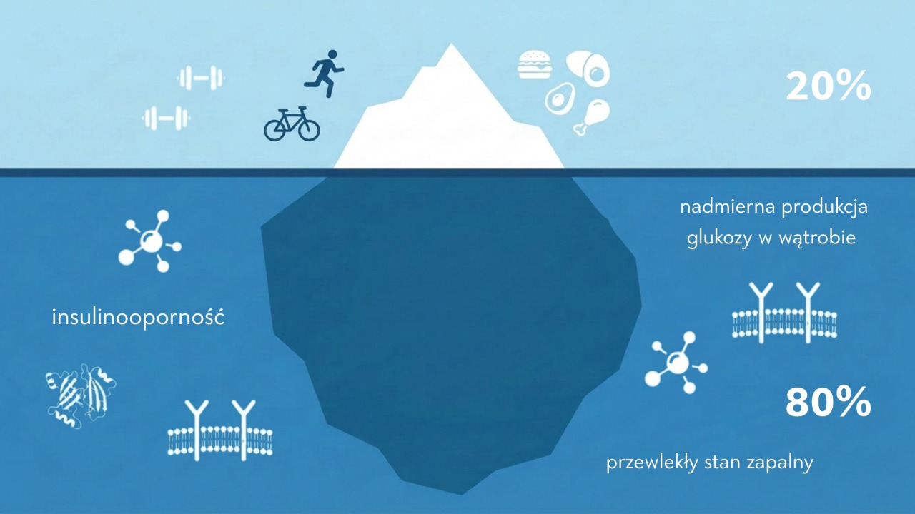 Diagram: dieta vs naprawa metabolizmu wątrobowego