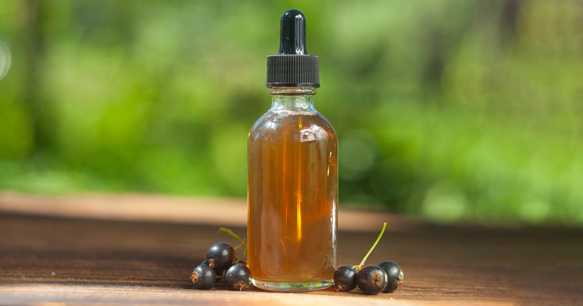Blackcurrant oils ranking – the best blackcurrant oils of 2023