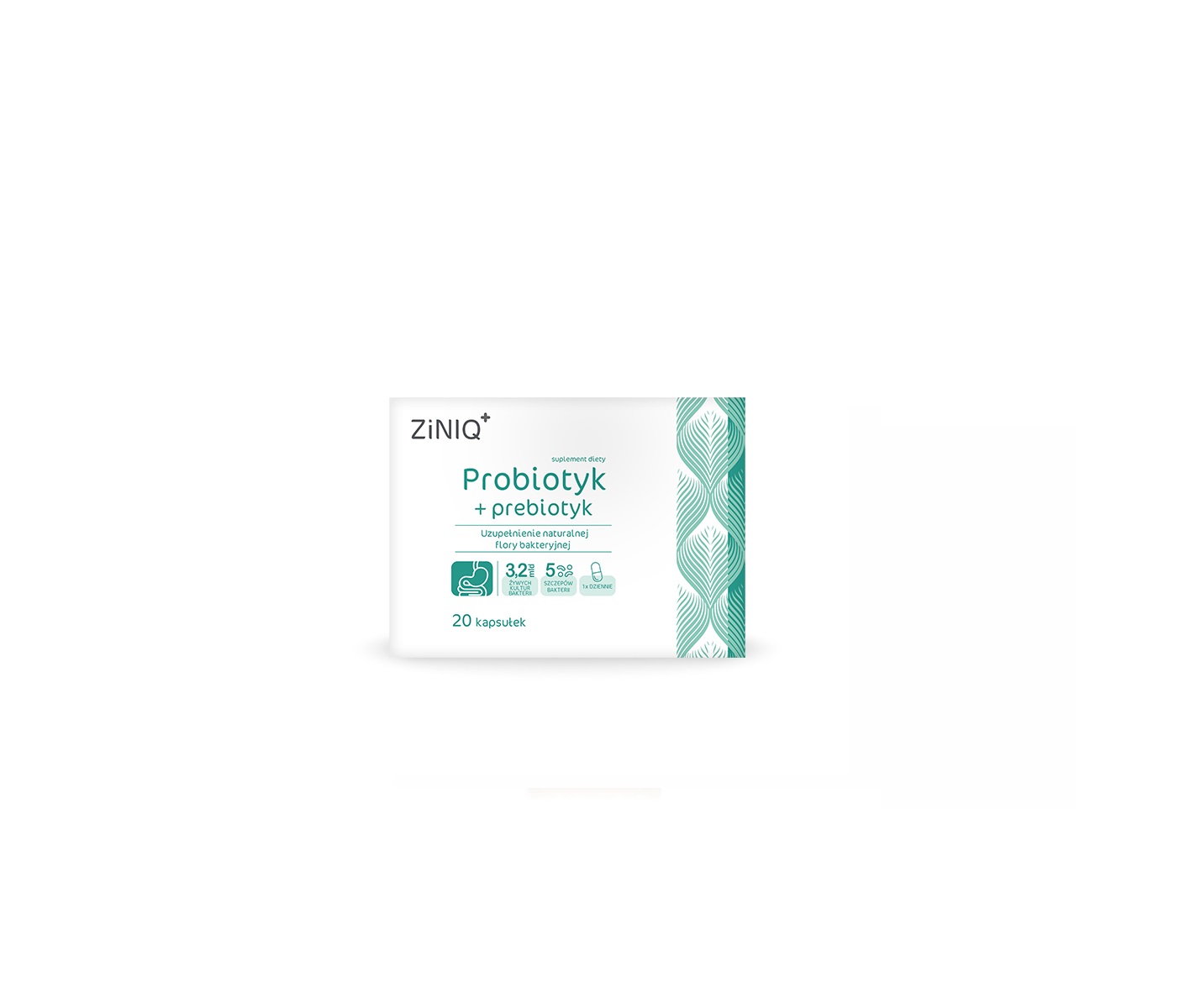 Ziniq+, suplement diety prebiotyk + probiotyk