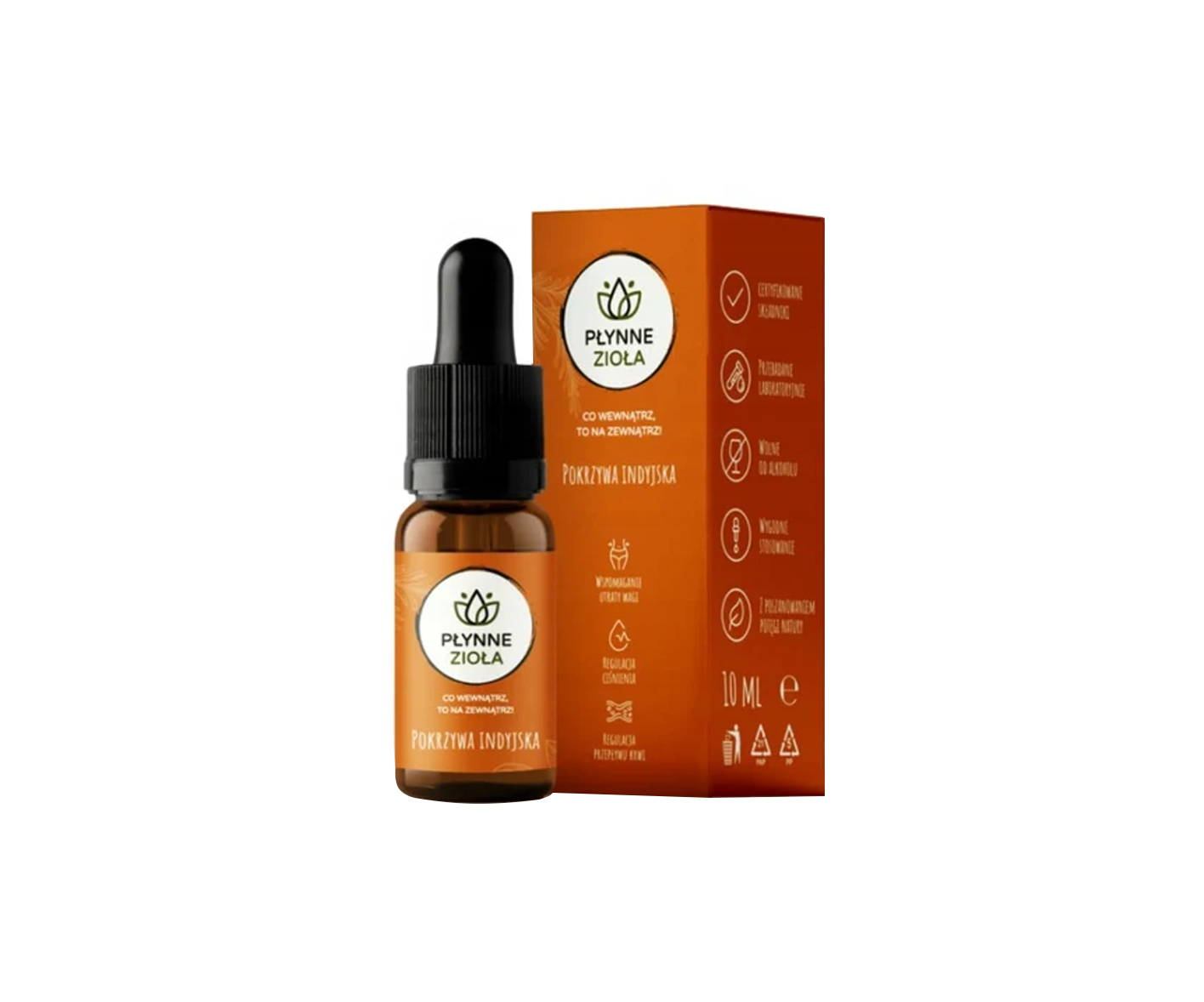 Liquid Herbs, Nahrungsergänzungsmittel mit indischer Brennnessel in Flüssigkeit, 10 ml