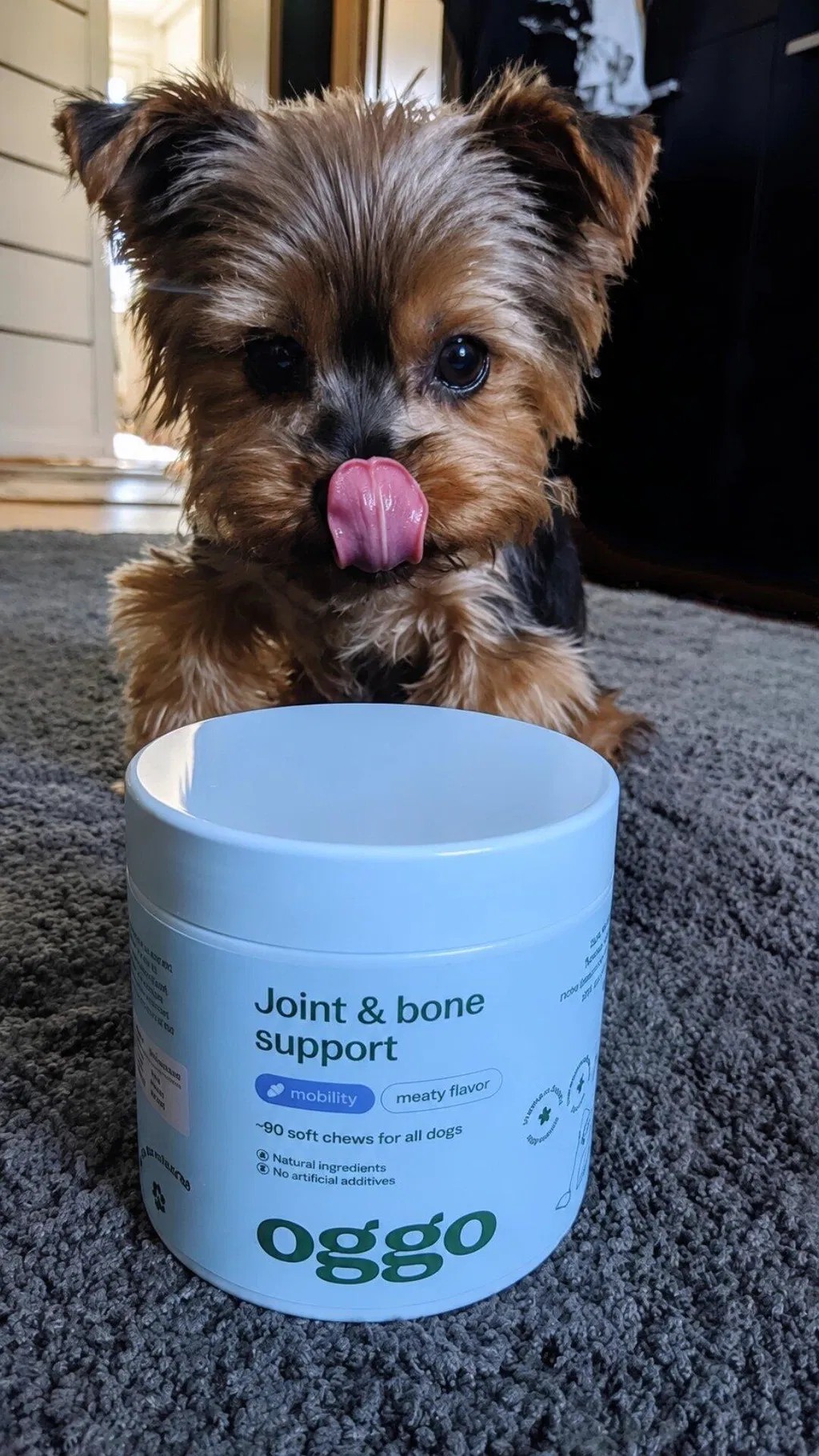 Oggo, Joint & Bone Support karma uzupełniająca dla psów na stawy i kości, Smaczki na stawy dla psów