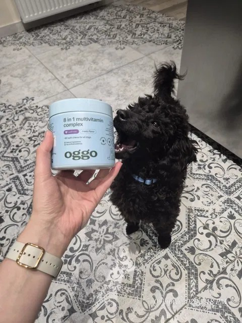 Oggo, 8 in 1 Complex karma uzupełniająca multiwitamina dla zdrowia i energii pupila, Witaminy dla psów