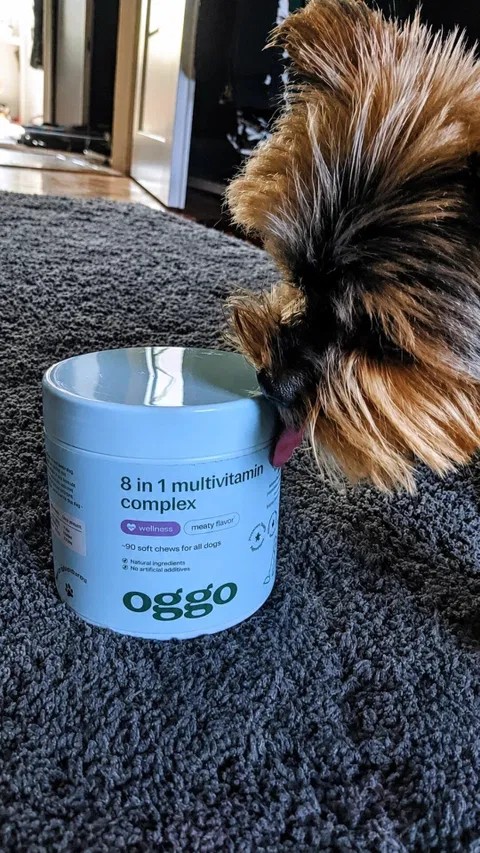 Oggo, 8 in 1 Complex karma uzupełniająca multiwitamina dla zdrowia i energii pupila, Witaminy dla psów
