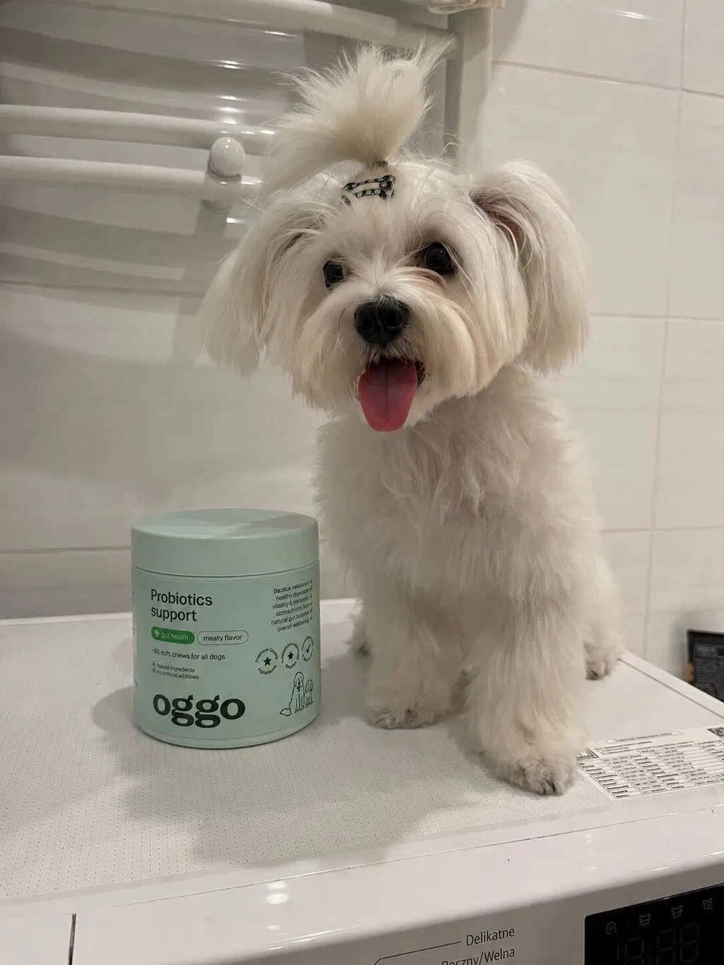Oggo, Probiotics for dogs karma uzupełniająca dla psów na trawienie, układ pokarmowy i odporność, Probiotyki dla psów