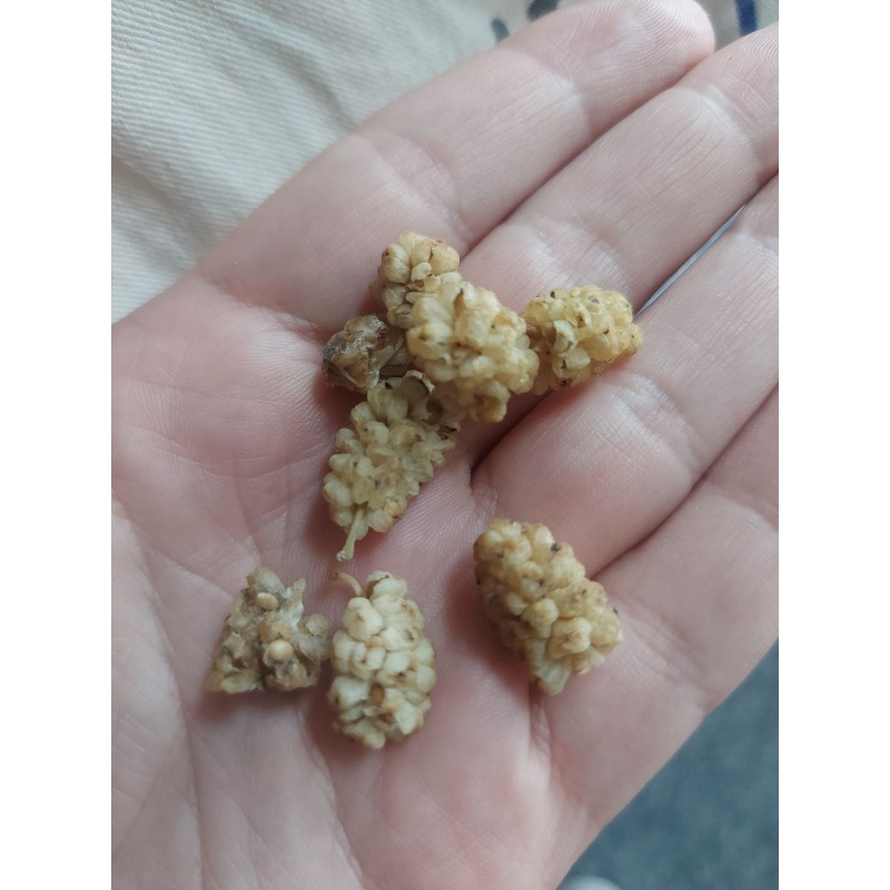 Veganity, dried white mulberry fruit